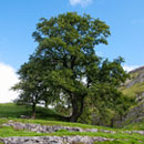 Conistone Dib, North Yorkshire