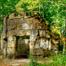 Hackfall Woods