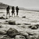 Saltburn