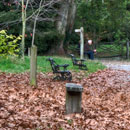 Thorpe Perrow Arbitorium
