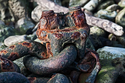 Focus Stacking Example
