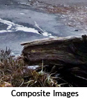 Composite & Photo Manipulation