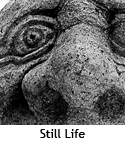 Digital Creativity UK: Still Life Photography