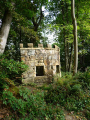 Hackfall Woods