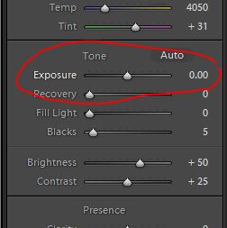 Original Exposure