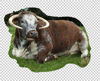 Donkey Layer Mask